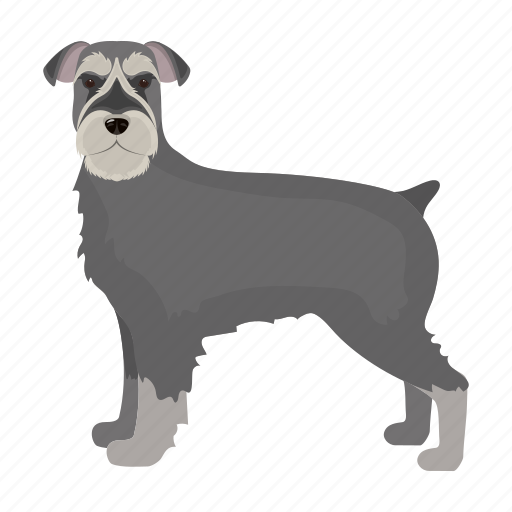 Beast, dog, giant schnauzer, mammal, pet icon - Download on Iconfinder