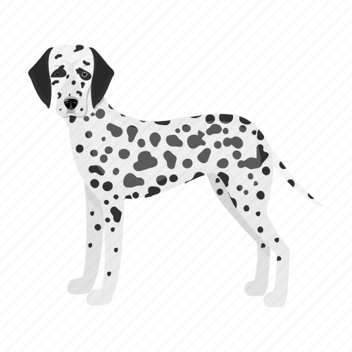 Beast, dog, mammal, pet icon - Download on Iconfinder