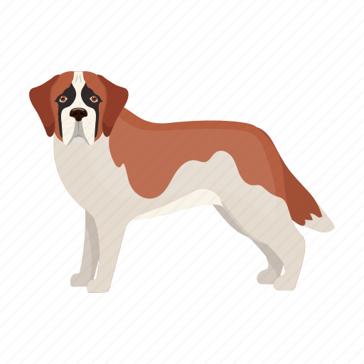 Beast, dog, mammal, pet, st. bernard icon - Download on Iconfinder