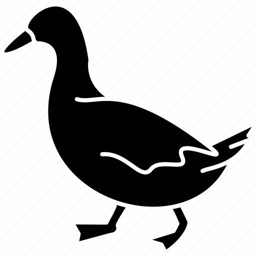 Duck, animal, farm, domestic, bird icon - Download on Iconfinder