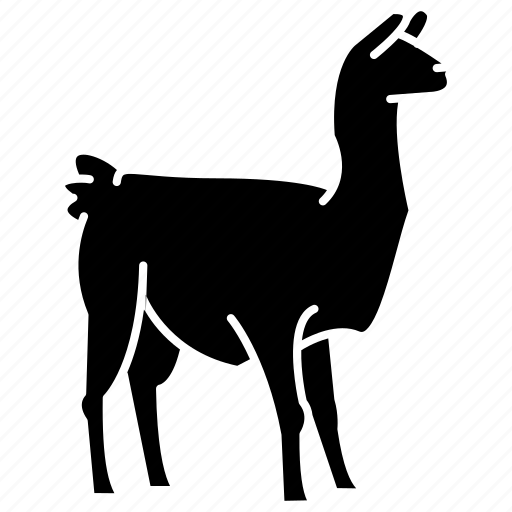 Llama, farm, pet, domestic, animal icon - Download on Iconfinder