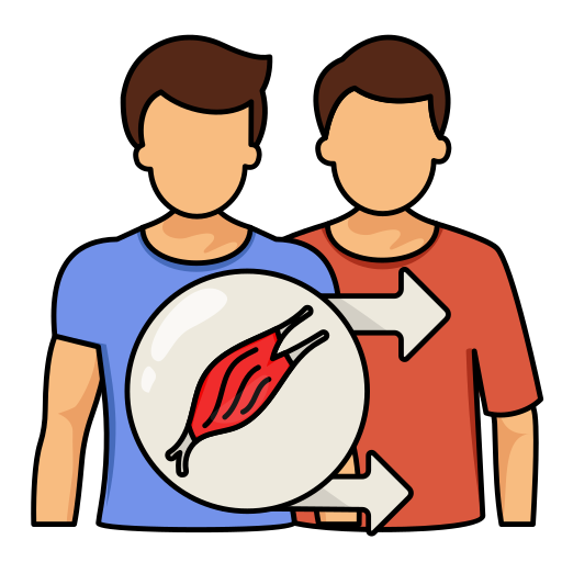 Muscle, donation, transplant, charity, body part, donate icon - Download on Iconfinder