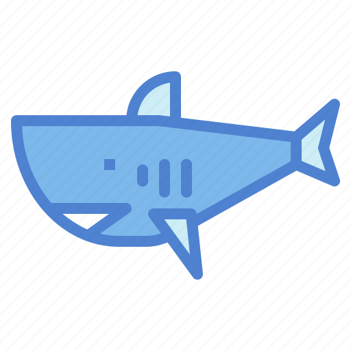 Animal, life, sea, shark icon - Download on Iconfinder