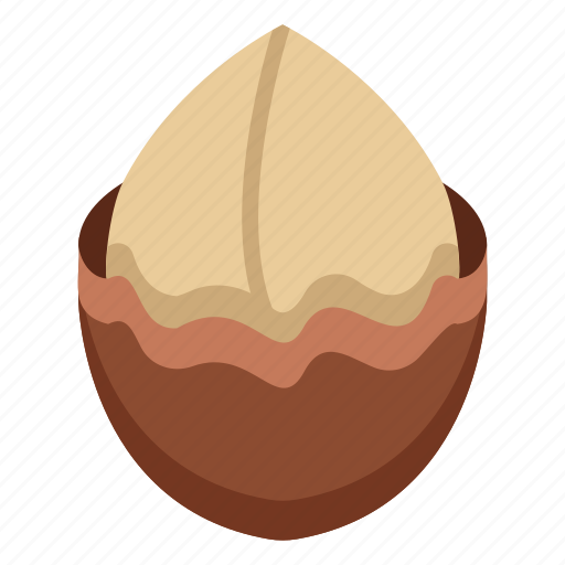 Creamy, texture, australian, nut, gourmet, ingredient, macadamia icon - Download on Iconfinder