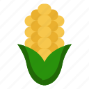 staple, crop, maize, cooking, ingredient, sweetcorn, popcorn, cornbread, corn, on, the, cob