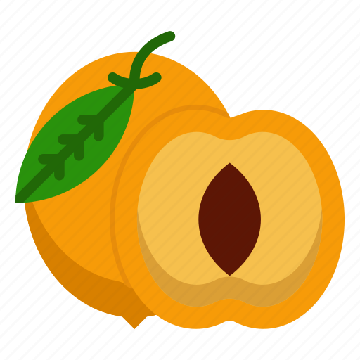 Stone, fruit, orange, colored, dried, apricots, apricot icon - Download on Iconfinder