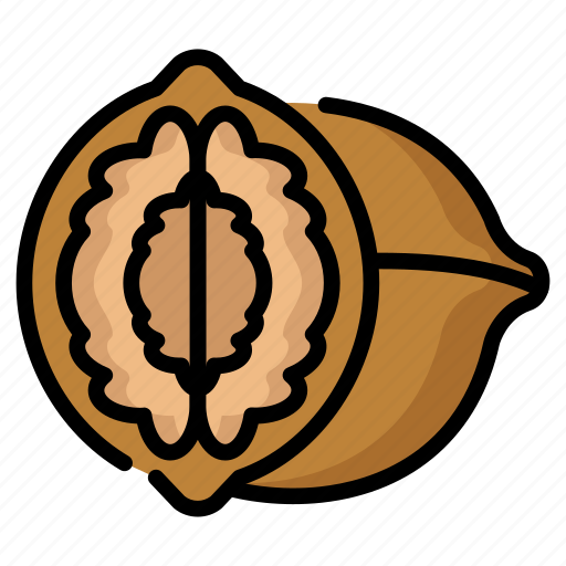 Nutty, flavor, brain, shaped, walnut, oil, wood icon - Download on Iconfinder