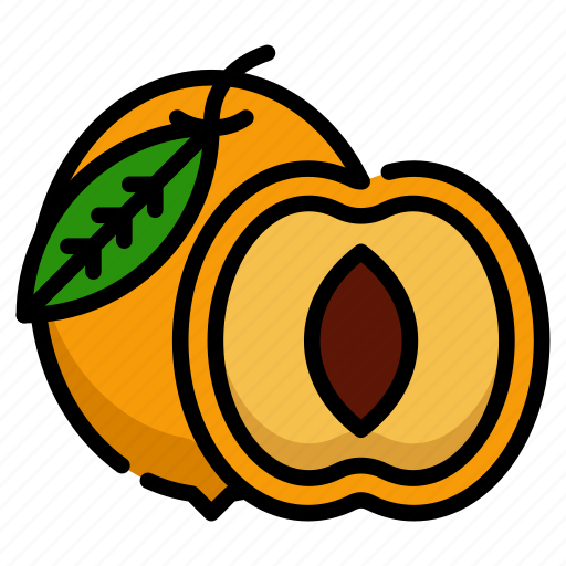 Stone, fruit, orange, colored, dried, apricots, apricot icon - Download on Iconfinder