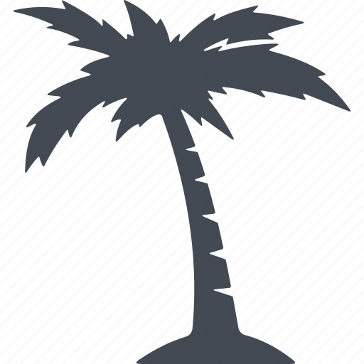 Dubai, palm, recreation, tree icon - Download on Iconfinder