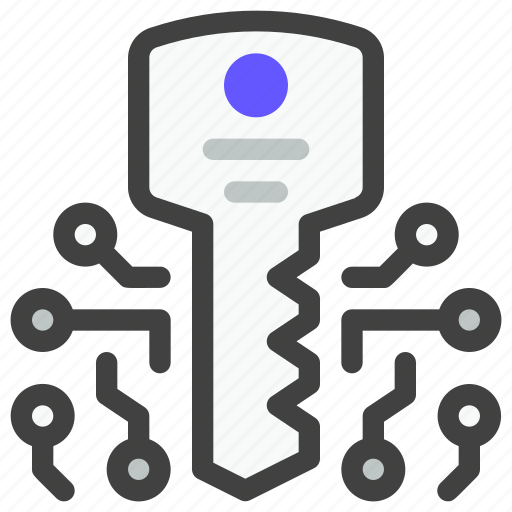 Data security, protection, technology, network, privacy, key digital, secure icon - Download on Iconfinder