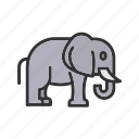 elephant, large, endangered, trunk, african, elephant family, elephant herd, elephant habitat