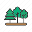 forest, woods, jungle, timber, forest floor, forest canopy, forest biodiversity, forest ecosystem