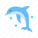 dolphin, ocean, swim, jump, playful, intelligent, dolphin sound, dolphin habitat