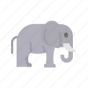 elephant, large, endangered, trunk, african, elephant family, elephant herd, elephant habitat