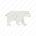 polar bear, arctic, global warming, climate change, wildlife, polar, ursus maritimus, ice