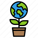 sprout, ecology, environment, garden, green, leafplant, nature, earth, world