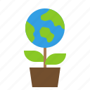 sprout, ecology, environment, aroma, garden, green, leafplant, nature, earth
