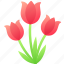 bouquet, celebration, easter, flower, spring, tulip 