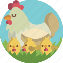 chicken, chick, animal, nature, easter, cute