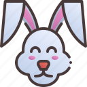 rabbit, bunny, easter, day, face, hare
