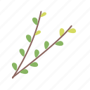 branch, easter, leaf, nature, plant, spring, tree