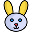 rabbit, bunny, easter, animal, cute, face