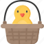 basket, chick, chicken, christianity, easter, holidays, in 