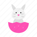 bunny, easter, eggshell, rabbit