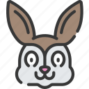 bunny, christianity, easter, holidays, rabbit 