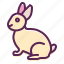 animal, bunny, cute, easter, happy, rabbit 