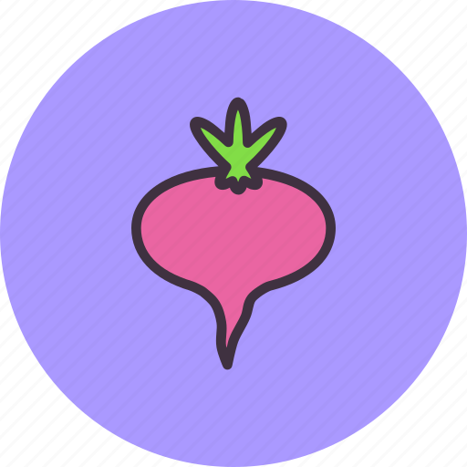 Beet, easter, food, plant, root, spring, vegetable icon - Download on Iconfinder