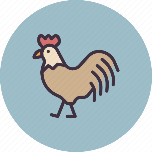 Bird, chicken, farm, hen, livestock, rooster icon - Download on Iconfinder