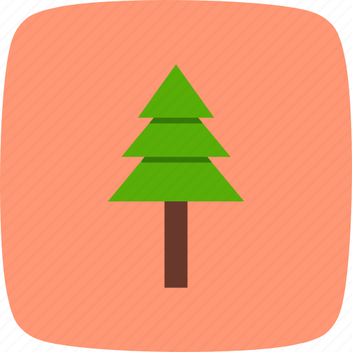 Environment, green, pine, tree icon - Download on Iconfinder