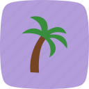 island, palm, tree