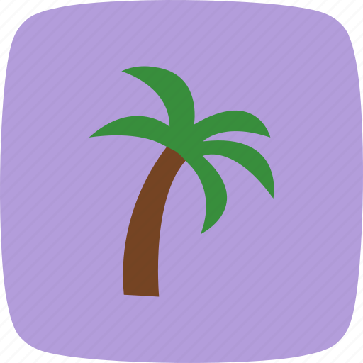 Island, palm, tree icon - Download on Iconfinder