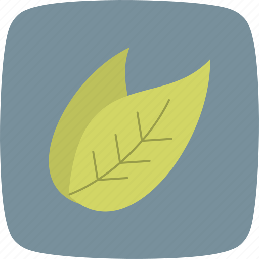 Leaves, nature, environment icon - Download on Iconfinder