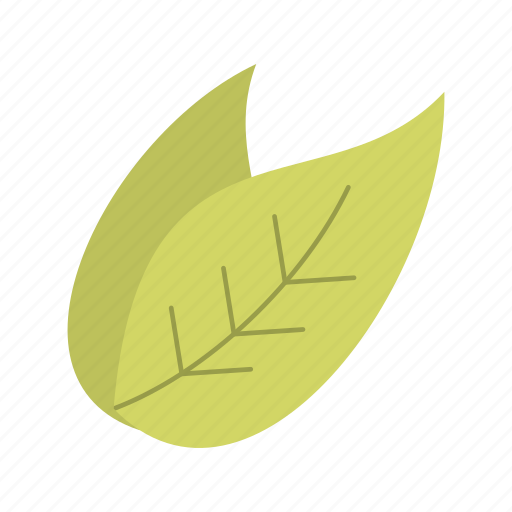 Leaf, nature, leave icon - Download on Iconfinder