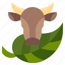 eco, beef, organic, food, ecology, environment, leaf, cow