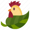 eco, chicken, organic, food, ecology, environment, leaf, hen