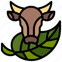 eco, beef, organic, food, ecology, environment, leaf, cow