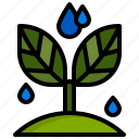 grow, sprout, plant, nature, water, drop