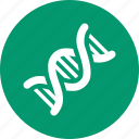 science, bio engineering, dna structure, genetic code, genetics, genome chain, spiral molecule