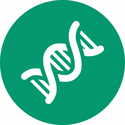 Science, bio engineering, dna structure, genetic code, genetics, genome chain, spiral molecule icon - Download on Iconfinder