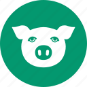 pig, piggy, agriculture, animal, head, farm, pork