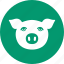 pig, piggy, agriculture, animal, head, farm, pork 