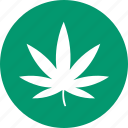 cannabis, marijuana, weed, drugs, grass, hemp, marihuana