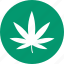 cannabis, marijuana, weed, drugs, grass, hemp, marihuana 