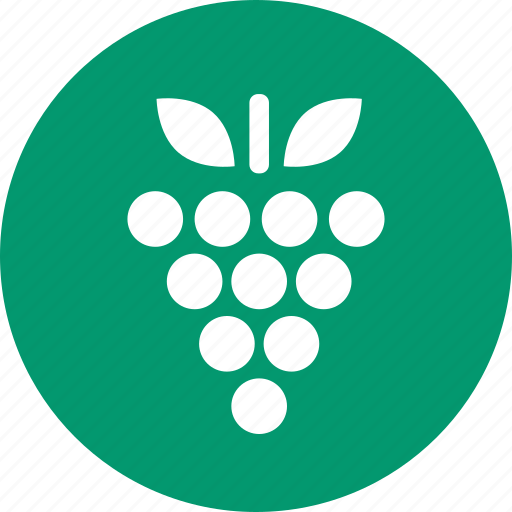 Grape, berry, grapes, wine, fruit, nature, vegetarian icon - Download on Iconfinder