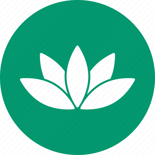 Lotus, ecology, environment, flower, nature, beautiful, floral icon - Download on Iconfinder