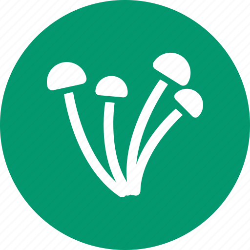 Mushrooms, fungi, fungus, pickles, dabchick, mushroom, toadstool icon - Download on Iconfinder
